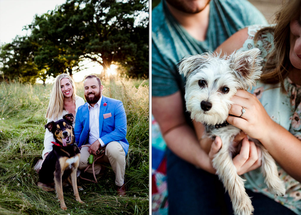 Two couples with their dogs looking at the camera in the summer. 5 tips to include your dog. 