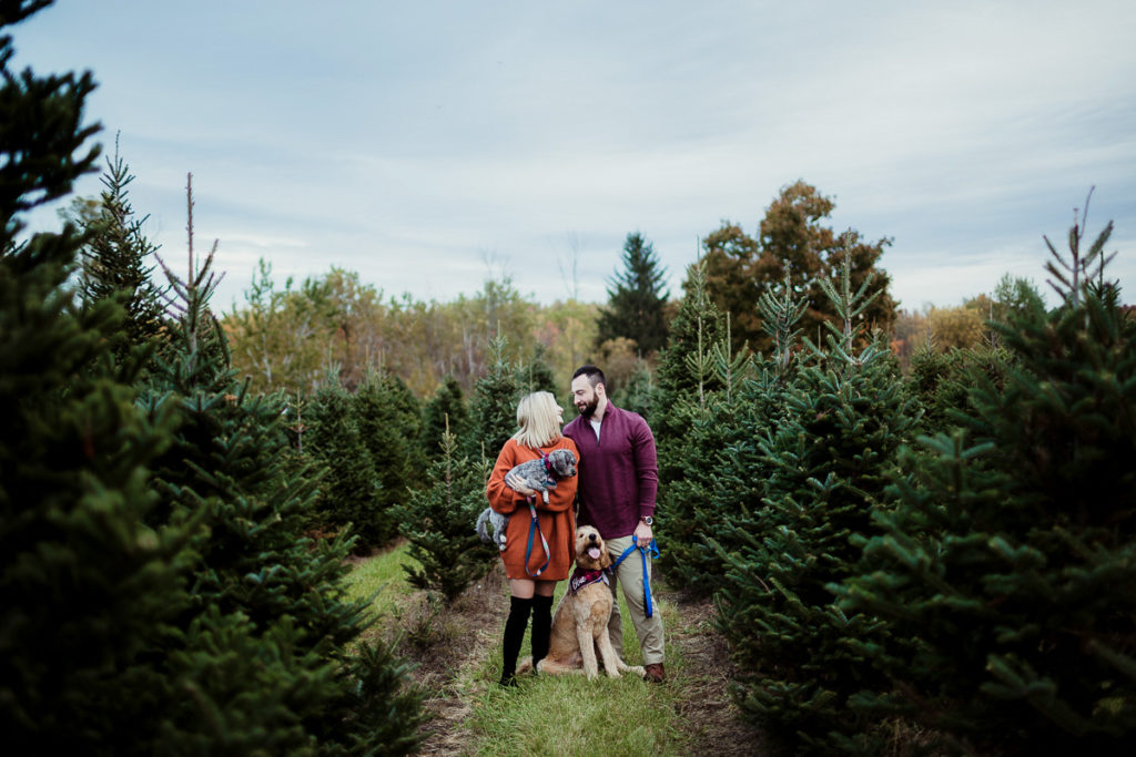 Couple in a Christmas tree farm looking at each other while holding their dogs. 5 tips to include your dog. 